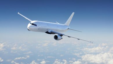 ادعای جنجالی رئیس سازمان هواپیمایی کشور