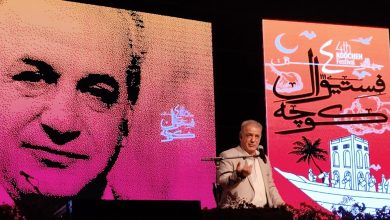 رشید کاکاوند:مولانا یاغی ادبیات است