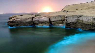 ساحل نقره ای؛ جادوی آبی و درخشنده‌ جزیره هنگام