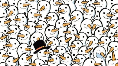 یک معمای سرعتی؛ خرس پنهان میان آدم برفی ها کجاست؟!