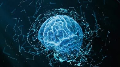 خالی‌شدن ذهن؛ پدیده‌ای رایج با دلایل ناشناخته