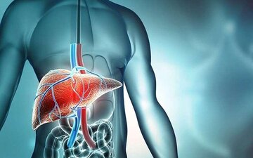 نوشیدنی‌های خانگی موثر در سم‌زدایی کبد