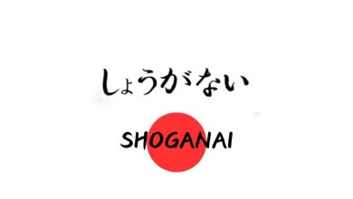 راز تاب آوری ژاپنی ها در سختی های زندگی کشف شد