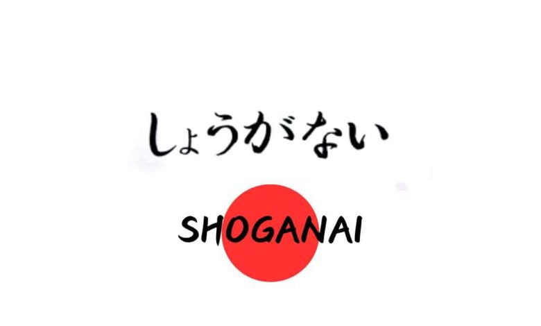 راز تاب آوری ژاپنی ها در سختی های زندگی کشف شد