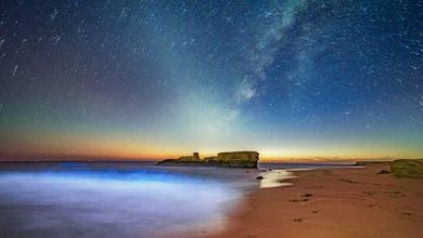 جزیره هرمز؛ قربانی اجرایی نشدن طرح محدودسازی ورود گردشگر