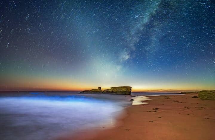 جزیره هرمز؛ قربانی اجرایی نشدن طرح محدودسازی ورود گردشگر