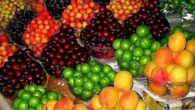 آغاز عرضه نوبرانه‌های بهاری در بازارهای میوه‌وتره‌بار
