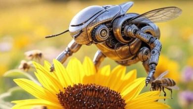 زنبورهای آهنی به پرواز درآمدند؛ معرفی کوچک ترین ربات پرنده جهان