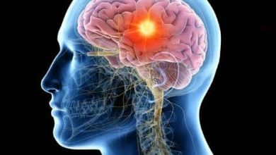 خاموش کردن اینترنت موبایل، شاید راهی برای جوان‌سازی مغز باشد