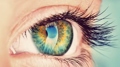 میوه ای که مصرف آن چشم را تقویت می کند