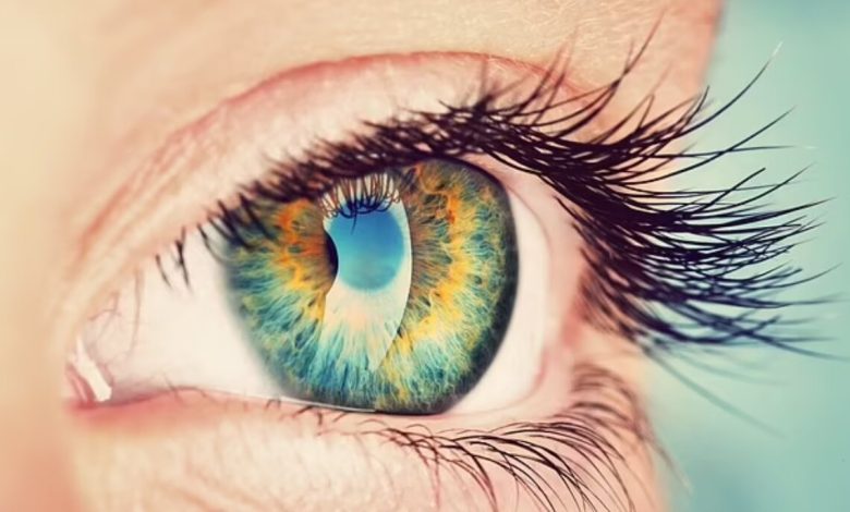 میوه ای که مصرف آن چشم را تقویت می کند