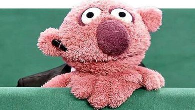 تقلید صدای بامزه الهی‌قمشه‌ای در برنامه جناب‌خان+فیلم