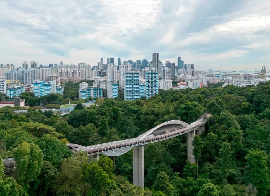 در این مطلب، با هفت پل منحصربهفرد از نقاط مختلف جهان از جمله ایران آشنا میشویم که هر یک با طراحی خیرهکننده و معماری خاص خود، نهتنها نقش ارتباطی دارند، بلکه به جاذبههایی تماشایی در مناظر طبیعی و شهری تبدیل شدهاند.