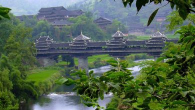 در این مطلب، با هفت پل منحصربه‌فرد از نقاط مختلف جهان از جمله ایران آشنا می‌شویم که هر یک با طراحی خیره‌کننده و معماری خاص خود، نه‌تنها نقش ارتباطی دارند، بلکه به جاذبه‌هایی تماشایی در مناظر طبیعی و شهری تبدیل شده‌اند.