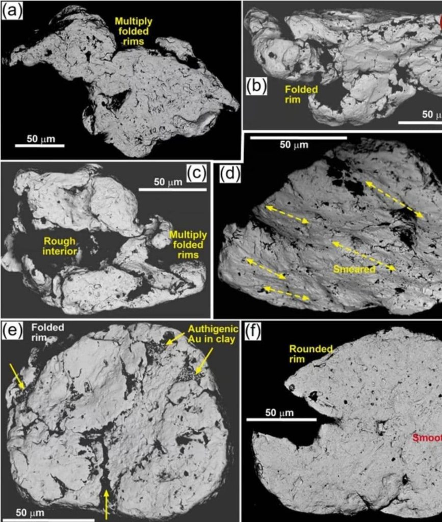 در این ساحل زیبا «طلا» روی زمین ریخته است