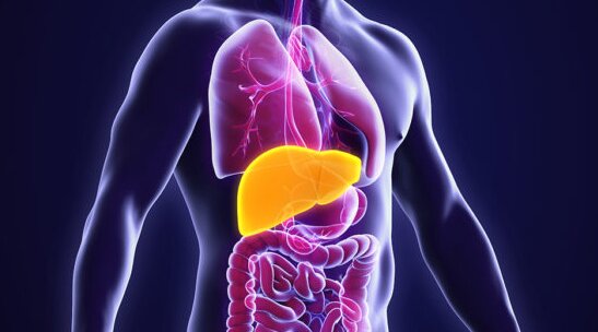 چربی هایی که مبتلایان به کبد چرب باید مصرف کنند!