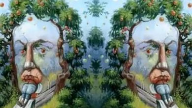 این تست توهم تصویری، آزاردهنده ترین ویژگی شخصیتی تان را آشکار می شود+ عکس