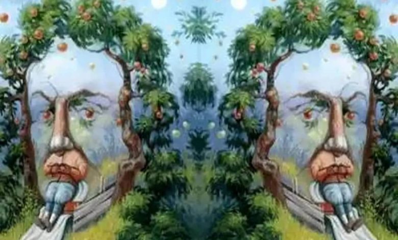 این تست توهم تصویری، آزاردهنده ترین ویژگی شخصیتی تان را آشکار می شود+ عکس