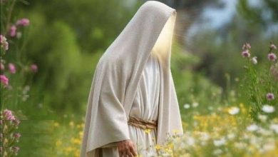 کتاب هایی که امام زمان(عج) به مطالعه روزانه آن سفارش کردند.