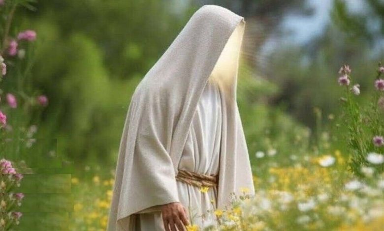 کتاب هایی که امام زمان(عج) به مطالعه روزانه آن سفارش کردند.