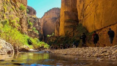 دره توبیرون دزفول؛ معجزه خارق العاده طبیعت+تصویر