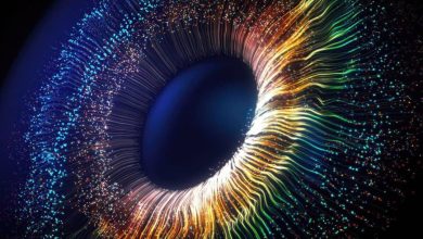 «اُلو»؛ دانشمندان رنگ جدیدی کشف کردند که برای اکثریت مردم قابل دیدن نیست!+تصویر