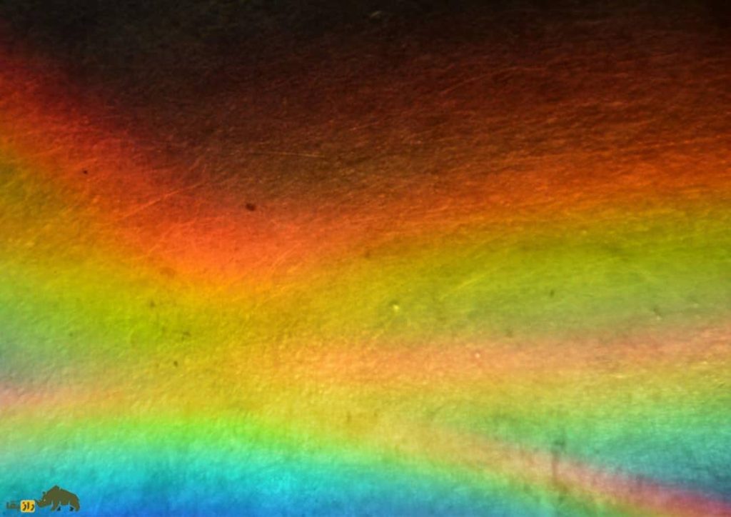 «اُلو»؛ دانشمندان رنگ جدیدی کشف کردند که برای اکثریت مردم قابل دیدن نیست!+تصویر