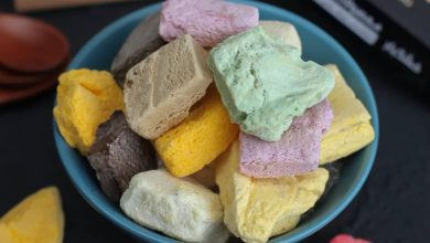 آموزش تهیه بستنی خشک در خانه و روش نگهداری از آن