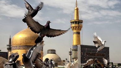 آهنگی که هایده برای امام رضا خواند+فیلم