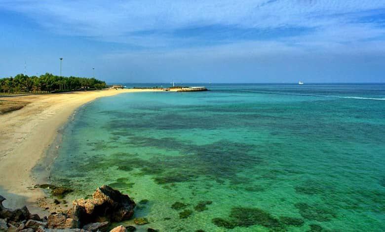 شنا کردن آهو در سواحل کیش؛ تصویری شگفتانگیز از طبیعت جزیره