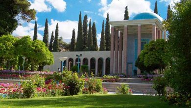 در سفری خوشمزه به شیراز کدام غذاهای محلی را بخوریم؟