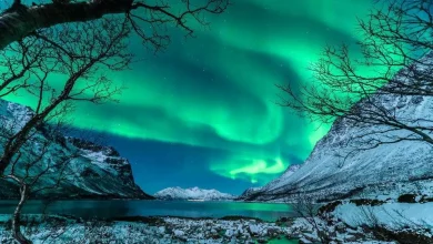 شفق قطبی در مشتری هم دیده شد