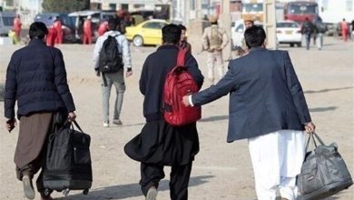 جمع‌آوری ‌۱۰۰ هزار تبعه غیرمجاز در البرز