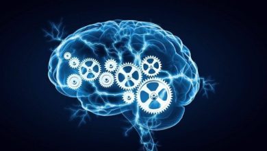 با این راهکار ها به طرز معجزه آسایی یادگیری مغز را چندبرابرکنید