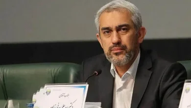 آیا سیدعلی مدنی‌زاده گزینه خوبی برای وزارت اقتصاد است؟