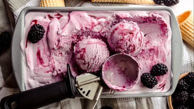 طرز تهیه بستنی توت سیاه خانگی خوشمزه و ساده