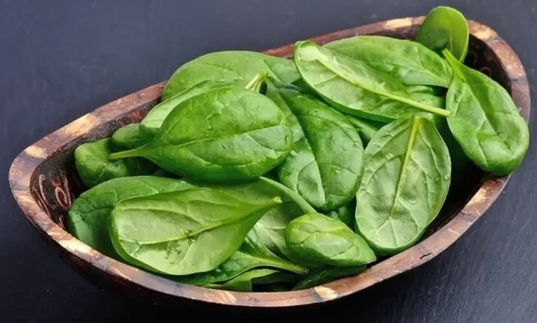 با خواص بی نظیر سلطان سبزی‌ها آشنا شوید