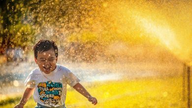 شُکرگزاری نعمت ها کلید شادکامی و خوشبختی؟