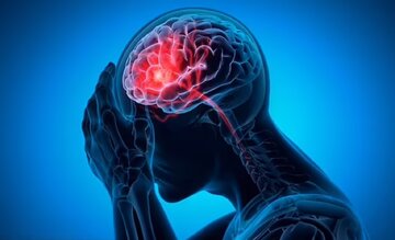 از جوانی پوست تا تقویت عملکرد مغز؛ مصرف این آجیل فراموش نشود