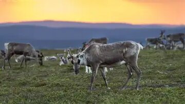 ۵ مکان روی زمین که خورشید هرگز در آن‌ها غروب نمی‌کند