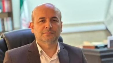 معاون دادگستری تهران: سرقت کاهش یافته است