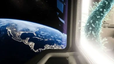 کشف یک باکتری ناشناخته در ایستگاه فضایی چین!