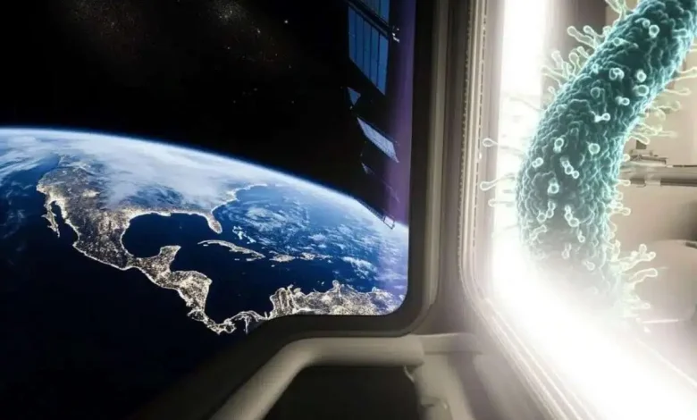 کشف یک باکتری ناشناخته در ایستگاه فضایی چین!