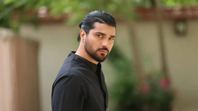 سینا مهراد با سریال جدیدش به نمایش خانگی می آید