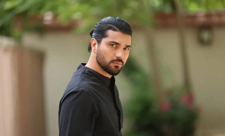 سینا مهراد با سریال جدیدش به نمایش خانگی می آید