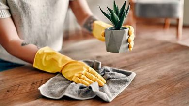 گردگیری برق‌آسا: در 15 دقیقه یک گردگیری اساسی انجام دهید!