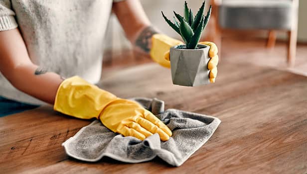 گردگیری برق‌آسا: در 15 دقیقه یک گردگیری اساسی انجام دهید!