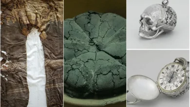 آثار باستانی شگفت‌انگیزی که تاریخ را برایتان جذاب‌تر می‌کنند