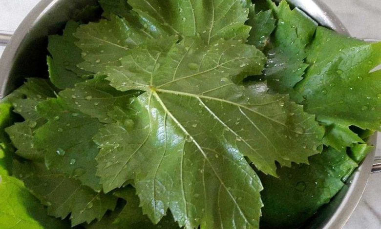 چگونه دلمه پلو را مثل حرفه‌ای‌ها درست کنیم؟