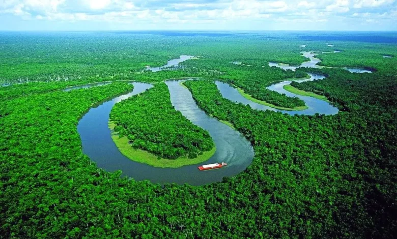 این زوج دوست داشتنی با کاشت ۲ میلیون درخت زمین را زنده کردند+فیلم